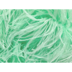 Feather Boa spearmint